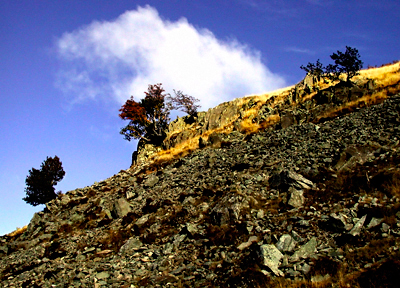 OUTCROP THREE